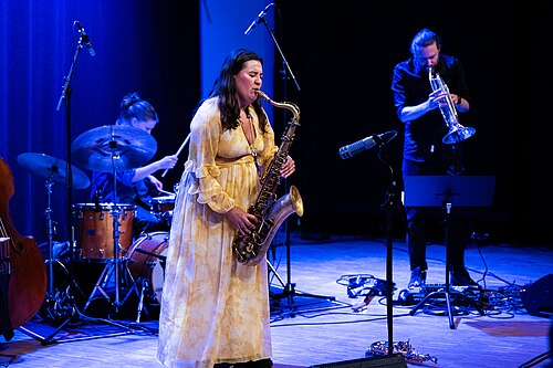 Mona Krogstad "Serenity now" med Veslemøy Narvesen, Hogne Kleiberg, Kertu Auer og special guest Kristoffer Lo. Sølvsalen, Kongsberg Jazzfestival 2024.
Foto: Birgit Fostervold @knipselyst

CC: BY-SA 2.0