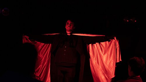 Steven Haanes at the 2024 Edinburgh Fringe Festival for The Master