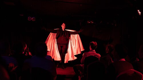 Steven Haanes at the 2024 Edinburgh Fringe Festival for The Master