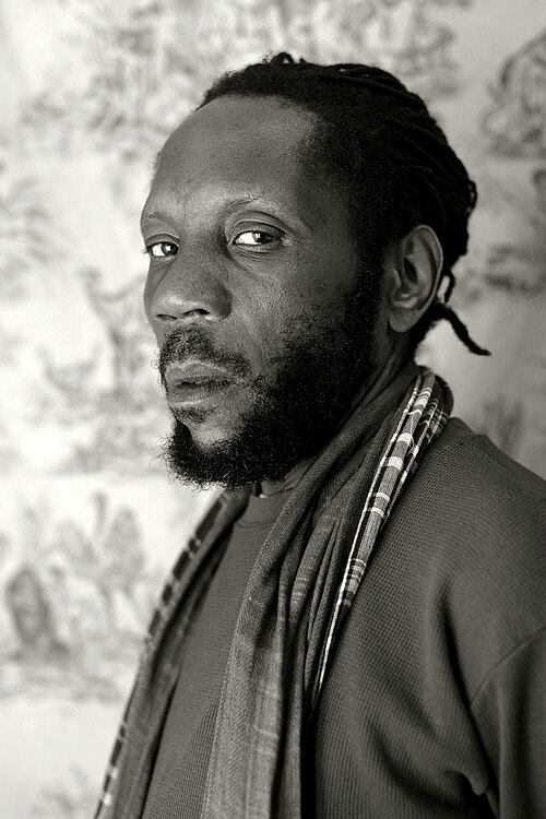 Too Many Zooz - David Parks - 2015