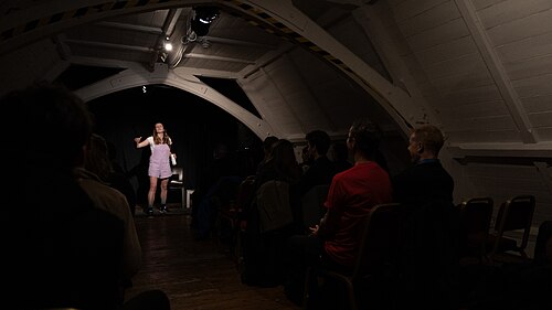 Viviane Ford at the 2024 Edinburgh Fringe Festival for New Kids on the Blockchain