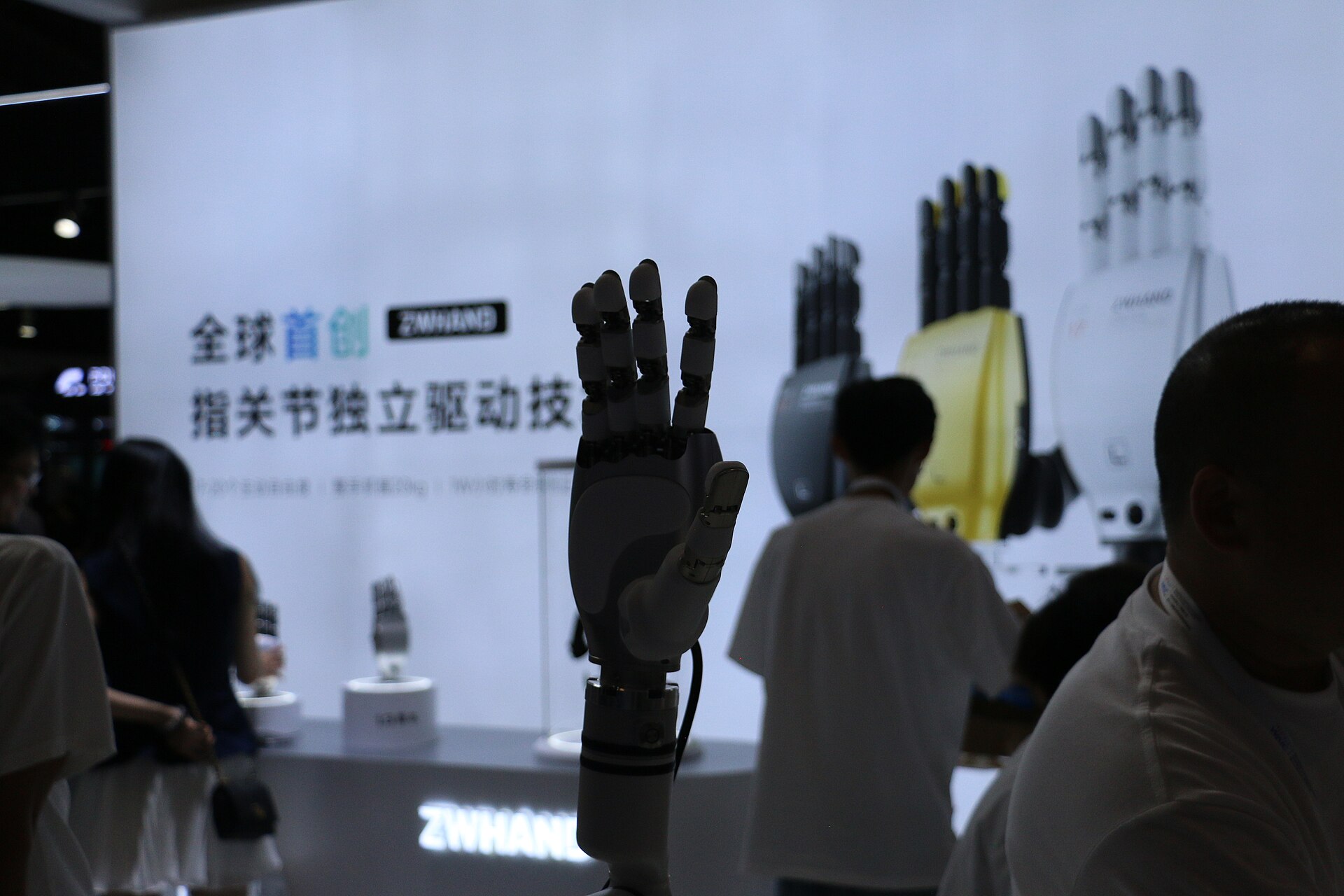 Robotics at WAIC 2025 in Shanghai