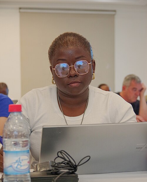 wikiconvention francophonie 2025