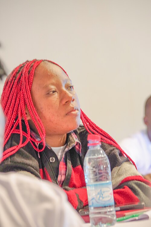 wikiconvention francophonie 2025