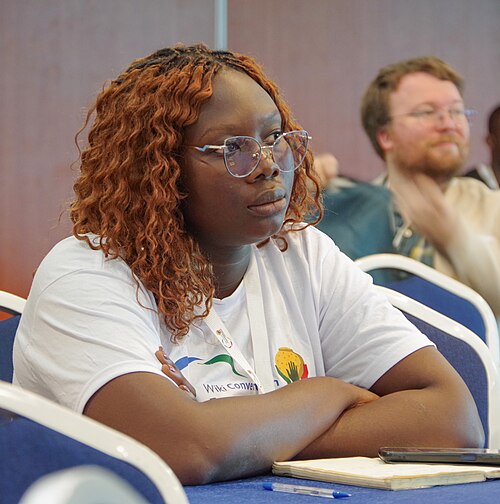 wikiconvention francophonie 2025