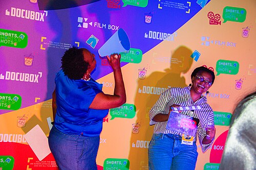 Le festival international des films des femmes de Cotonou
