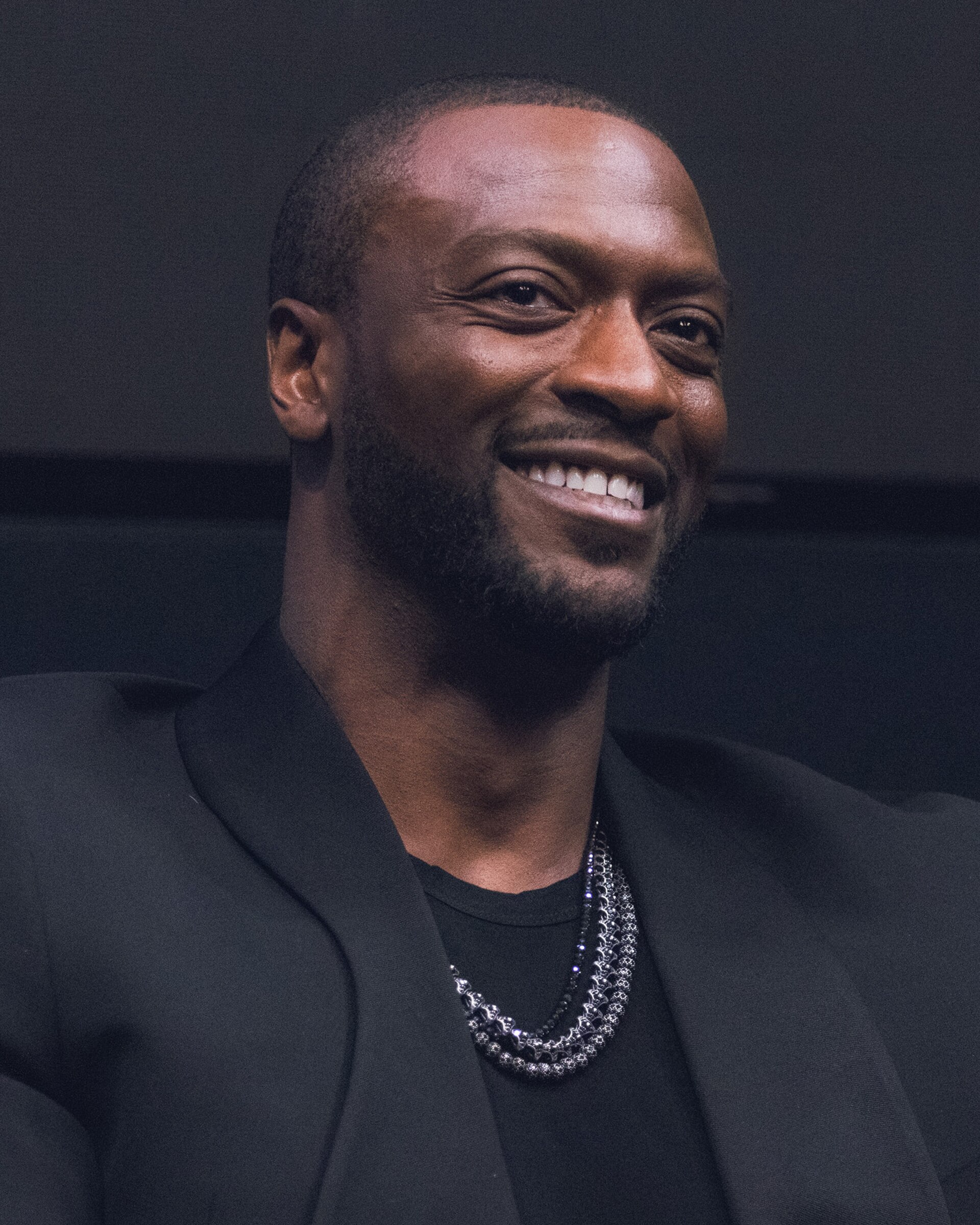 Aldis Hodge at a Q&A for Cross in Culver City, California