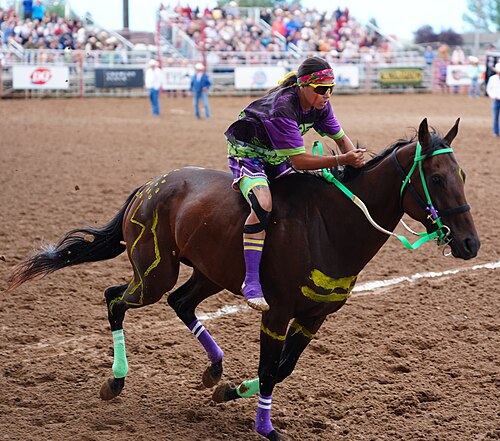 Rider Arianna Holiday of team Brew Crew at 2026 Sheridan WYO Rodeo Womens Indian Relay.