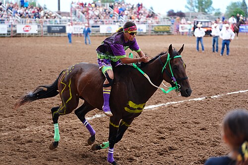 Rider Arianna Holiday of team Brew Crew at 2026 Sheridan WYO Rodeo Womens Indian Relay.