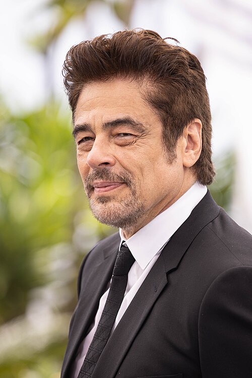Actor Benicio del Toro at the 2025 Cannes Film Festival