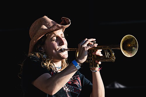 The band Bucko performing at Dominion Energy Riverrock on May, 15, 2026