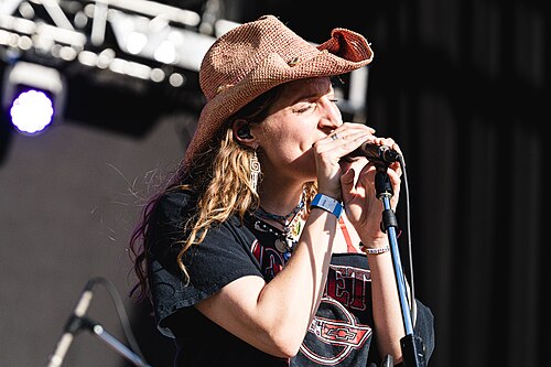 The band Bucko performing at Dominion Energy Riverrock on May, 15, 2026