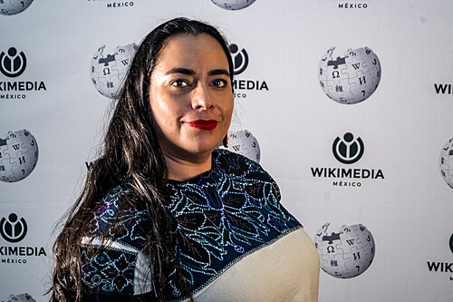 Portraits of attendees at WECUDI 2025, Mexico City, Mexico.
