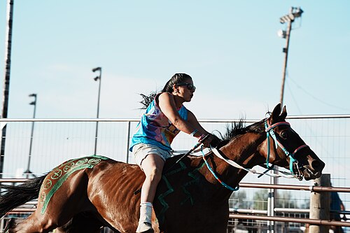 SHERIDAN, WYOMING, UNITED STATES - July 9, 2026: Diamond Amyotte (Amyotte Racing) racing at 2026 Sheridan WYO Rodeo Womens Indian Relay.