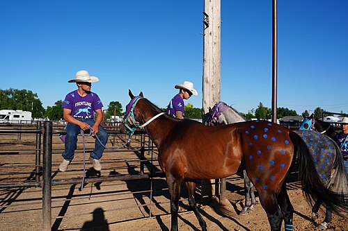 SHERIDAN, WYOMING, UNITED STATES - July 11, 2026: Frontline Relay of the Crow Creek Sioux Tribe pre-race at 2026 Sheridan WYO Rodeo World Indian Relay Championship..
