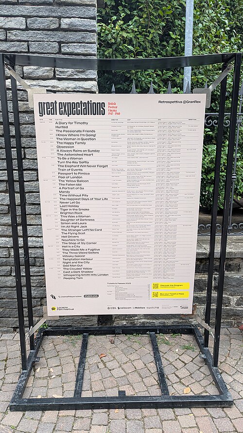 Great Expectation films poster for the 78th Locarno Film Festival