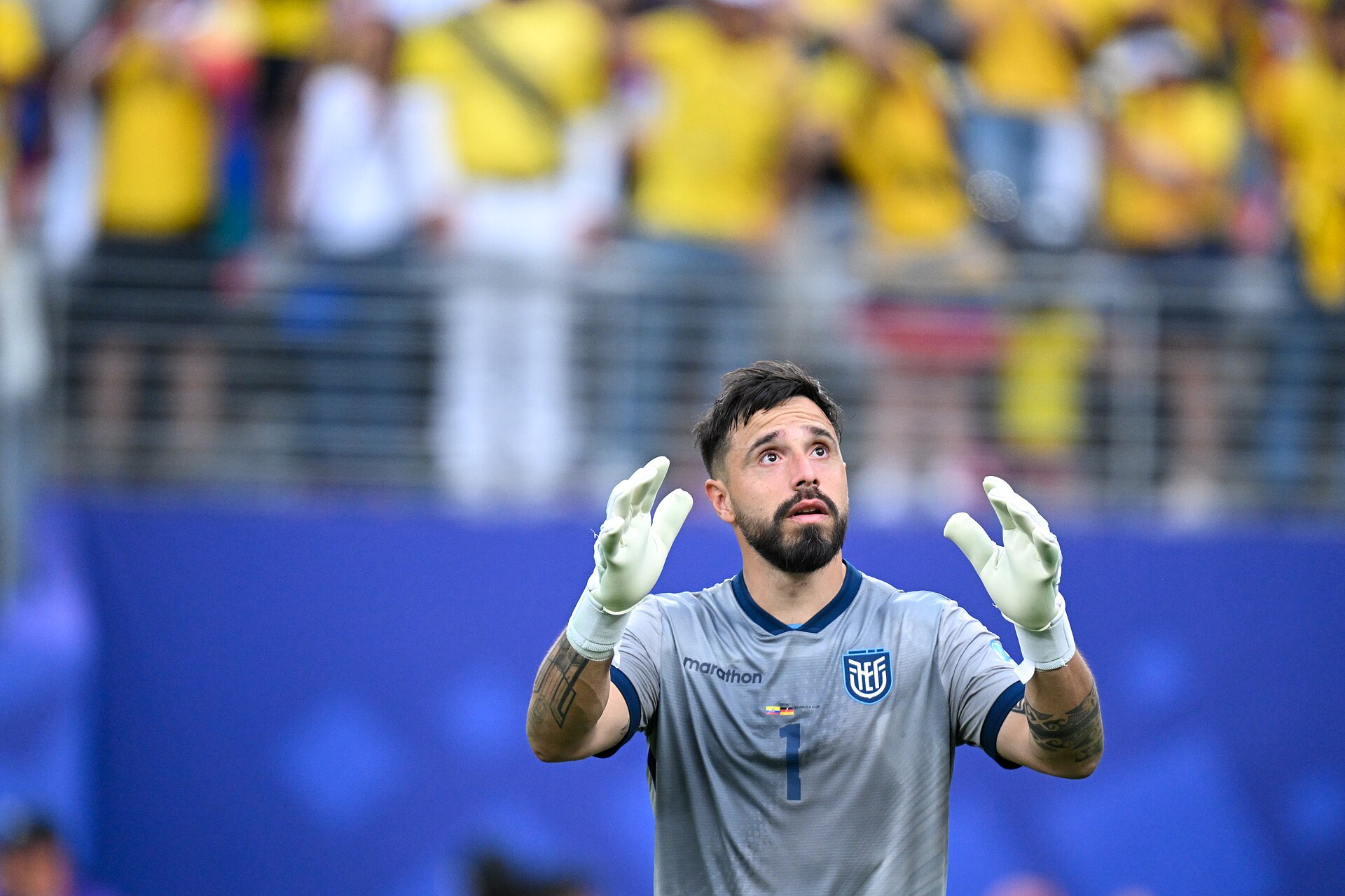 EAST RUTHERFORD, UNITED STATES - June 25: Goalkeeper Hernan Galindez #1 celebrates after winning the FIFA World Cup 2026 Group E match between Ecuador  and  Germany on June 25, 2026 MetLife Stadium, East Rutherford, New Jersey