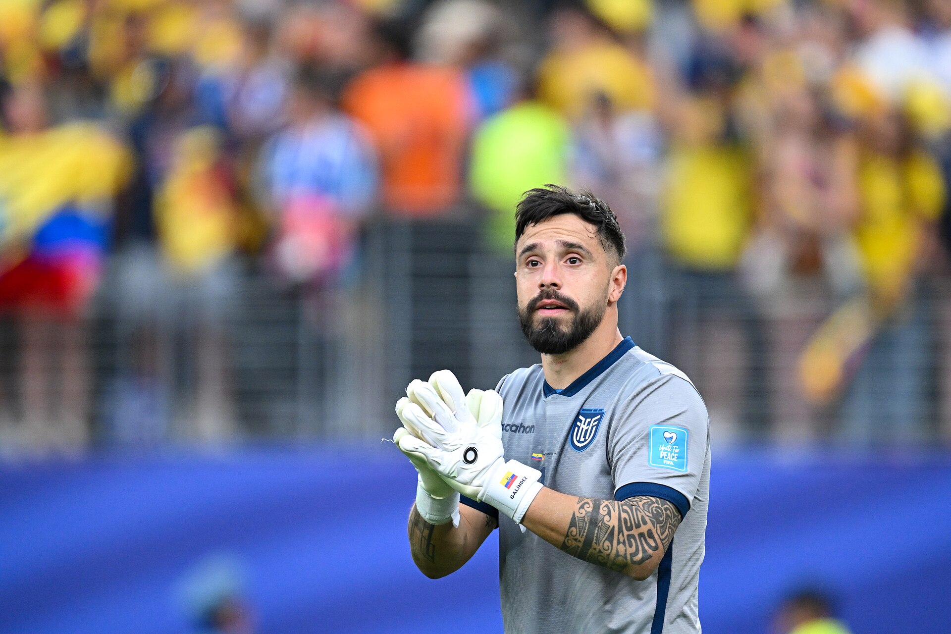 EAST RUTHERFORD, UNITED STATES - June 25: Goalkeeper Hernan Galindez #1 celebrates after winning the FIFA World Cup 2026 Group E match between Ecuador  and  Germany on June 25, 2026 MetLife Stadium, East Rutherford, New Jersey