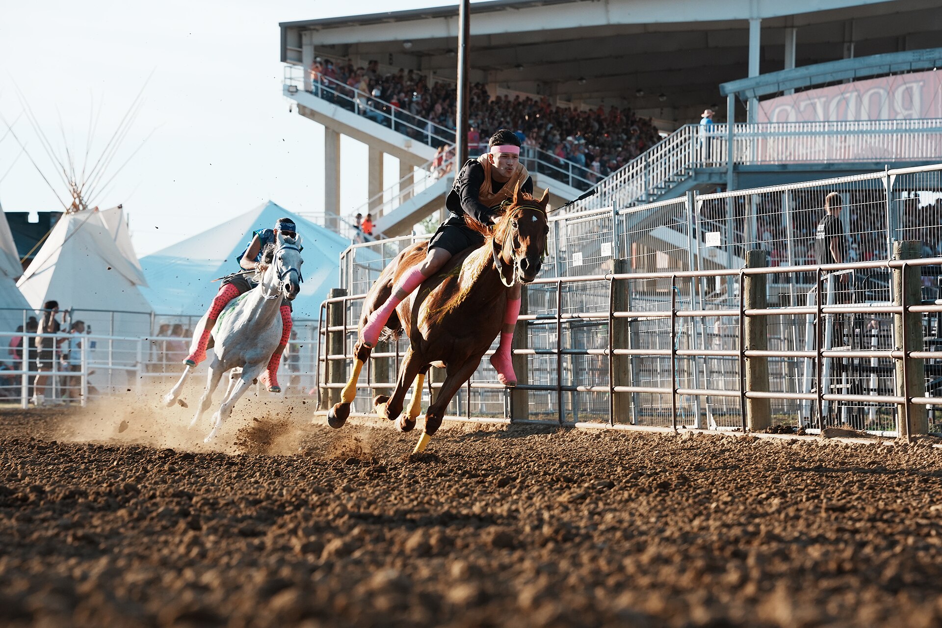 SHERIDAN, WYOMING, UNITED STATES - July 9, 2026: Jace Long Feather (Long Feather) and Tristan Bird in Ground (Bird in Ground) at 2026 Sheridan WYO Rodeo Mens Indian Relay.