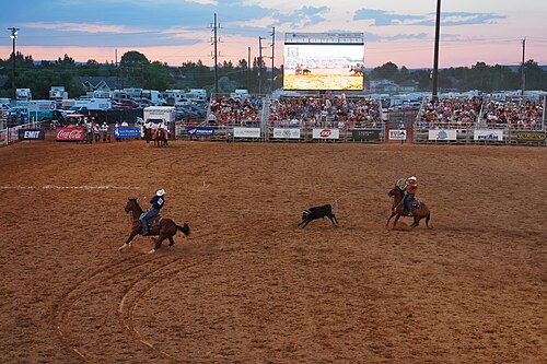 SHERIDAN, WYOMING, UNITED STATES - July 10, 2026: Jet Toberer and Tyler McKnight team roping at 2026 Sheridan WYO Rodeo.