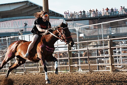 SHERIDAN, WYOMING, UNITED STATES - July 9, 2026: Jimi Dawn (Red Hand Relay) racing at 2026 Sheridan WYO Rodeo Womens Indian Relay.