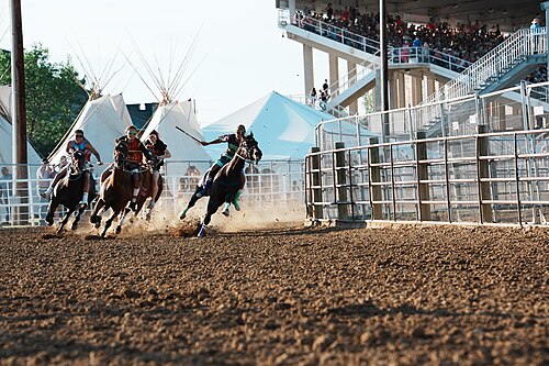 SHERIDAN, WYOMING, UNITED STATES - July 9, 2026: Jimi Dawn (Red Hand Relay), Arianna Holiday (Brew Crew), Diamond Amyotte (Amyotte Racing), and Violet Carson (Thunderwolf Express) racing at 2026 Sheridan WYO Rodeo Womens Indian Relay.