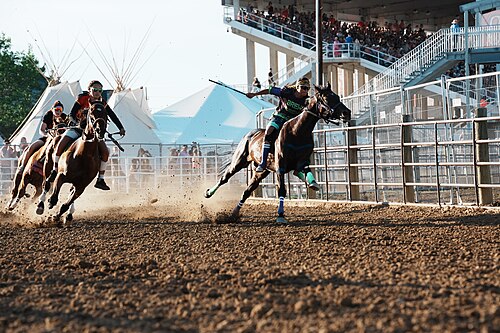 SHERIDAN, WYOMING, UNITED STATES - July 9, 2026: Jimi Dawn (Red Hand Relay), Arianna Holiday (Brew Crew), and Violet Carson (Thunderwolf Express) racing at 2026 Sheridan WYO Rodeo Womens Indian Relay.
