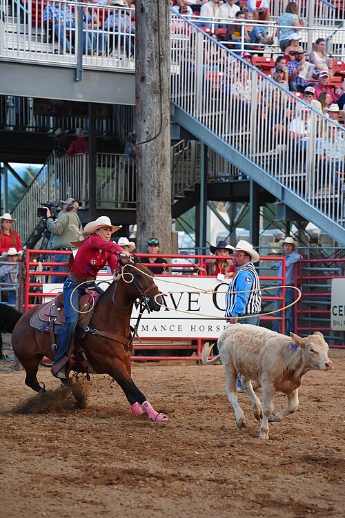 SHERIDAN, WYOMING, UNITED STATES - July 10, 2026: Jordan Jo Hollabaug breakaway roping at 2026 Sheridan WYO Rodeo