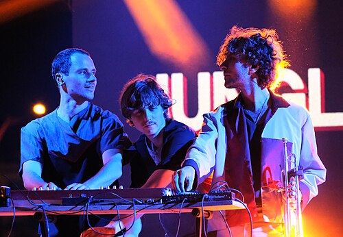 Jungle by Night concert at Istanbul Jazz Festival