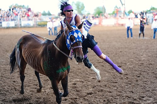 Rider Kaden BringsPlenty of team Dancing Warrior at 2026 Sheridan WYO Rodeo Mens Indian Relay.