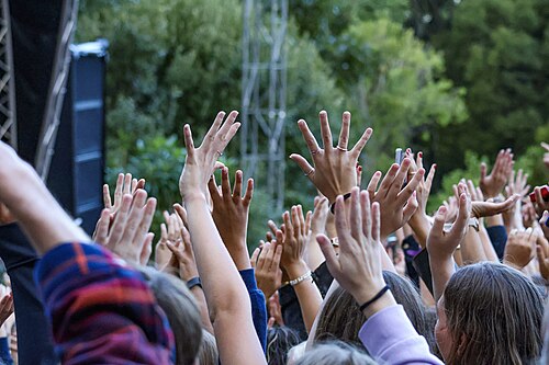 Fans at a Kirstenbosch Summer Sunset Concert
