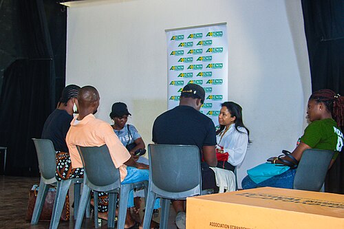 Le festival international des films des femmes de Cotonou