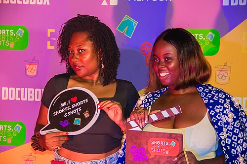 Festival International des films des femmes de Cotonou