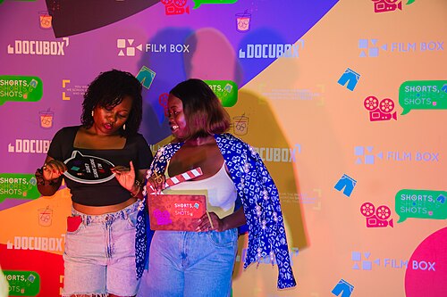 Festival International des films des femmes de Cotonou