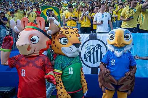 Maple Zayu Clutch during Brazil v Morocco on 13 June 2026 at the 2026 FIFA World Cup at NY/NJ Stadium in East Rutherford, NJ