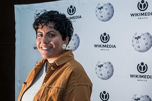 Portraits of attendees at WECUDI 2025, Mexico City, Mexico.