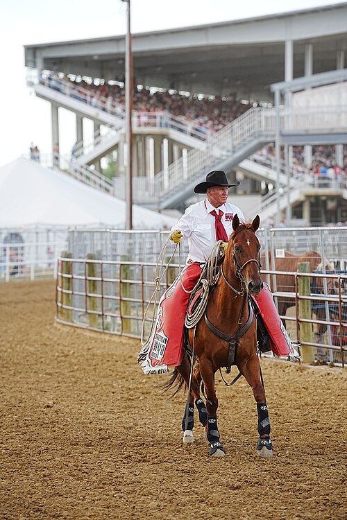 SHERIDAN, WYOMING, UNITED STATES - July 10, 2026: Pickup Rider at 2026 Sheridan WYO Rodeo.