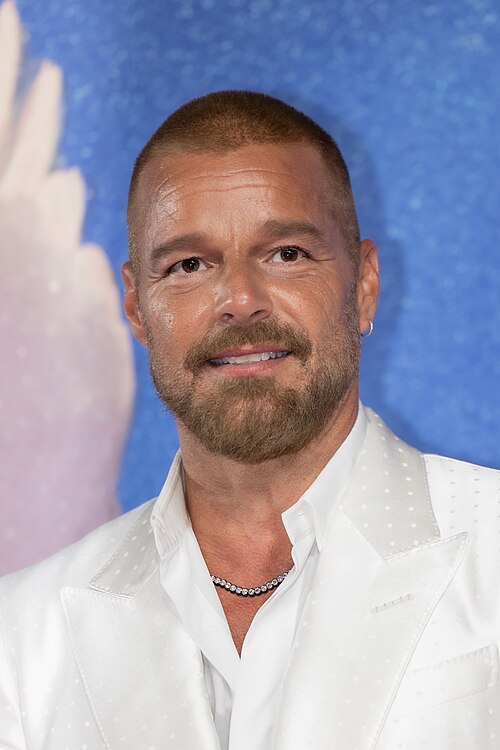 Ricky Martin at the 83rd Venice International Film Festival