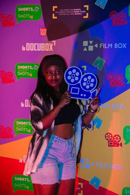 Festival International des films des femmes de Cotonou