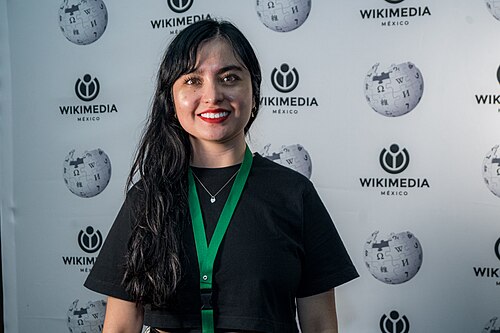 Portraits of attendees at WECUDI 2025, Mexico City, Mexico.