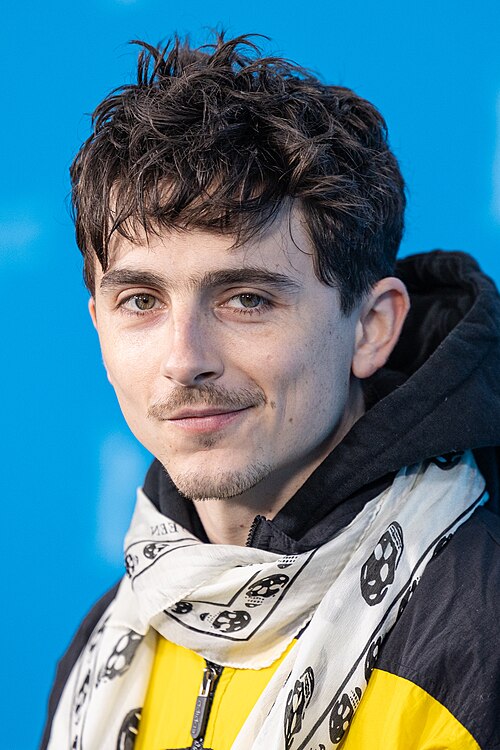 Der Schauspieler Timothée Chalamet auf der Berlinale 2025