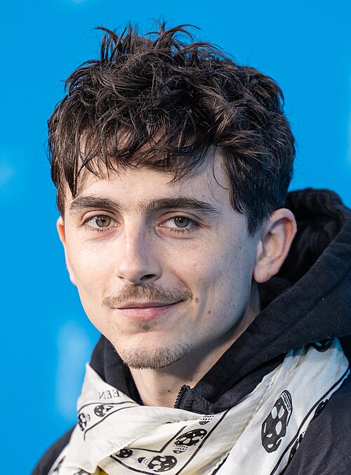 Der Schauspieler Timothée Chalamet auf der Berlinale 2025