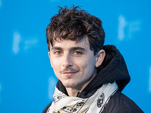 Der Schauspieler Timothée Chalamet auf der Berlinale 2025