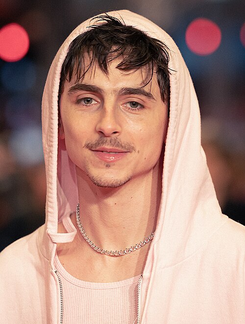 Der Schauspieler Timothée Chalamet auf der Berlinale 2025