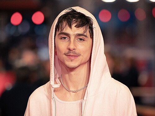 Der Schauspieler Timothée Chalamet auf der Berlinale 2025