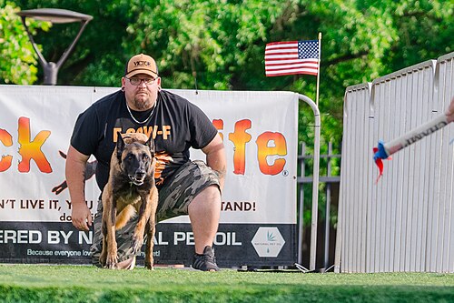 Dogs competing in the Ultimate Air Dogs at Dominion Energy Riverrock May 15, 2026