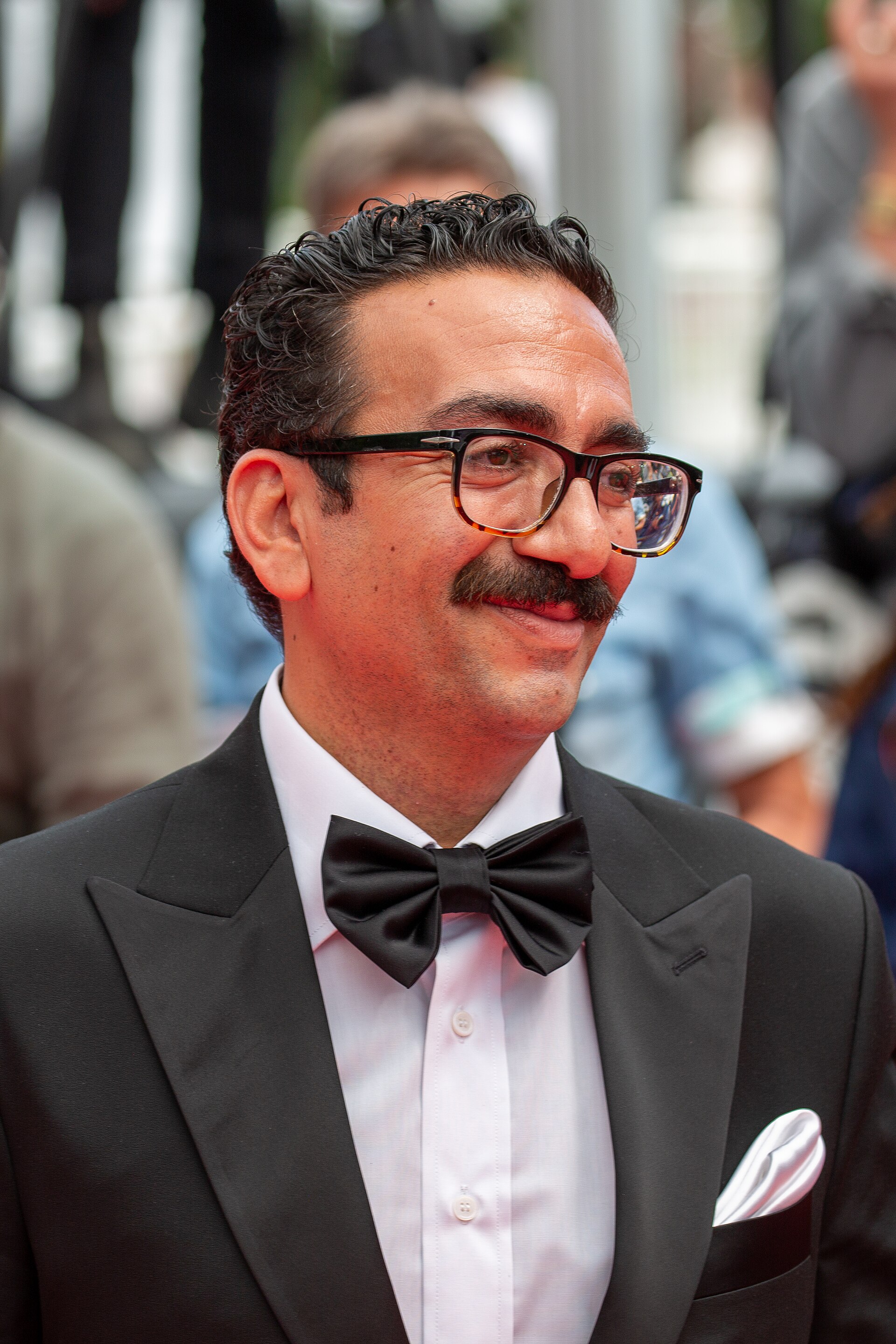 Vahid Mobasseri on Cannes Red Carpet for the Un simple accident Premiere