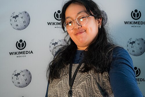 Portraits of attendees at WECUDI 2025, Mexico City, Mexico.