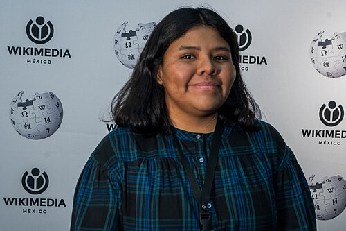 Portraits of attendees at WECUDI 2025, Mexico City, Mexico.